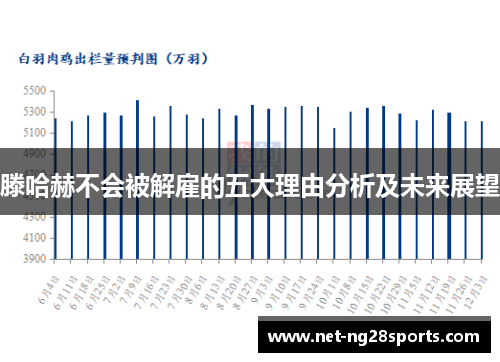 滕哈赫不会被解雇的五大理由分析及未来展望