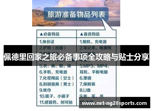 佩德里回家之旅必备事项全攻略与贴士分享