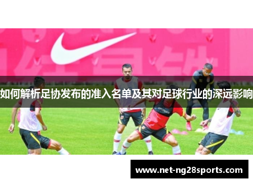 如何解析足协发布的准入名单及其对足球行业的深远影响