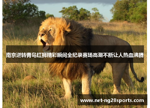 南京逆转青岛红狮精彩瞬间全纪录赛场高潮不断让人热血沸腾